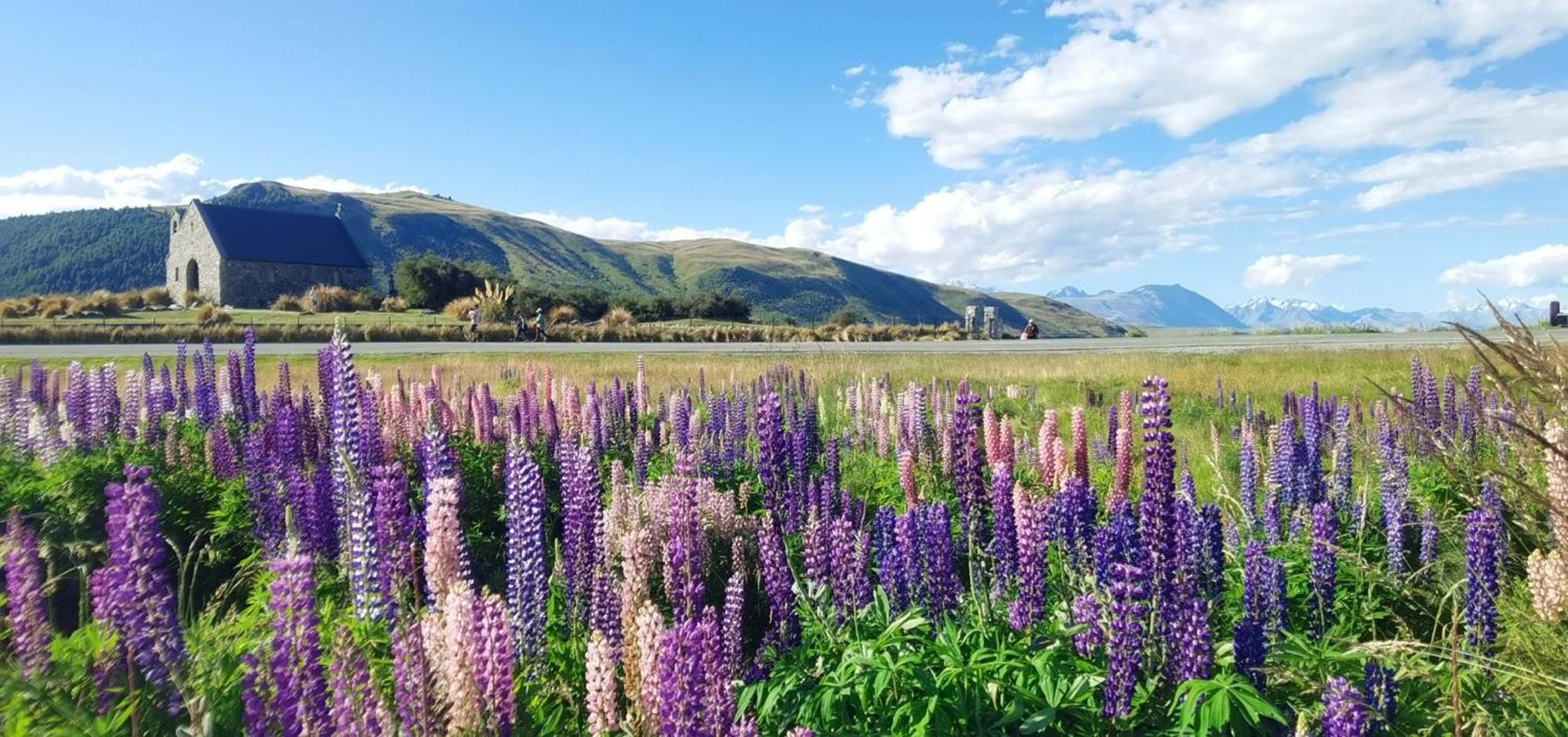 37 Galaxy C Studio Lake Tekapo Zewnętrze zdjęcie