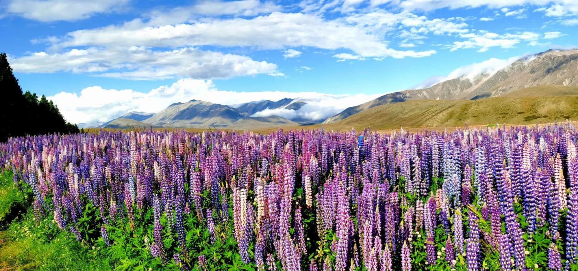 37 Galaxy C Studio Lake Tekapo Zewnętrze zdjęcie